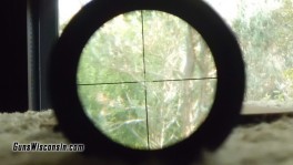 CIMG3073crclose