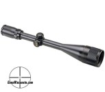 Bushnell banner pic3
