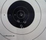 223 target bulls