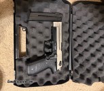 22lr Sig pistol 