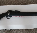 Ruger American 22lr