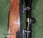 brown2