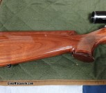 brown3