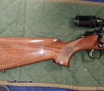 brown5
