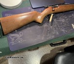 Springfield model 120A