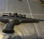 Savage striker 308