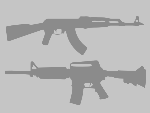 AR 15 Rifle